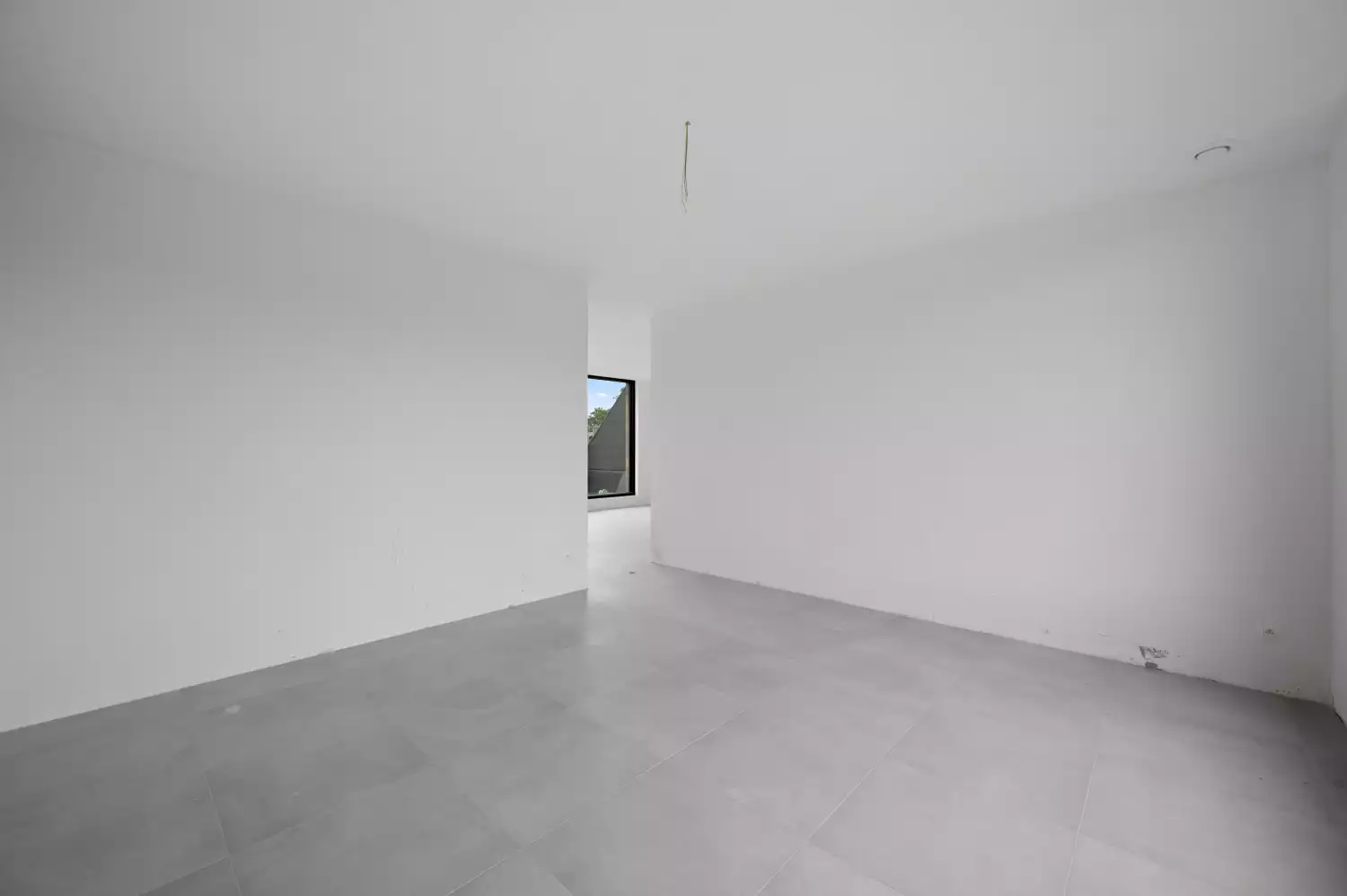 primary-image