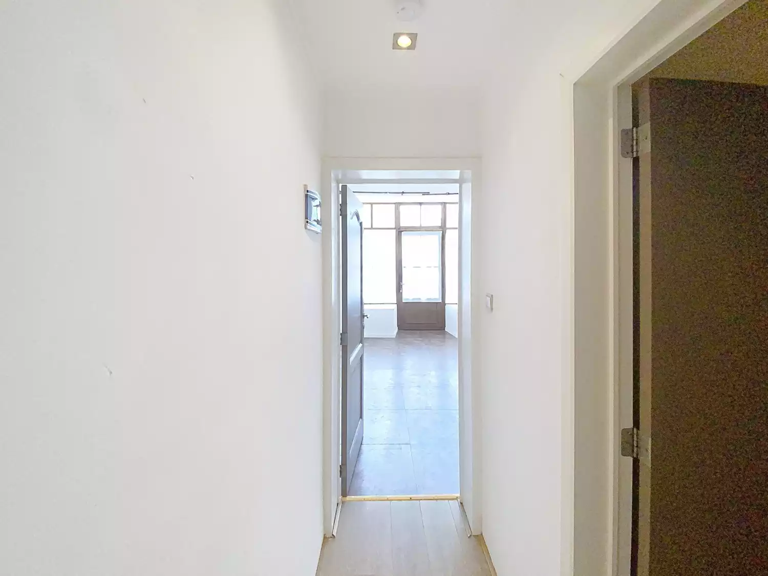 primary-image