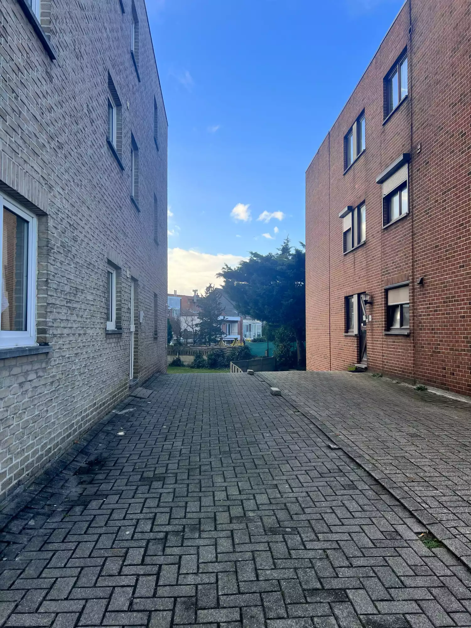 primary-image