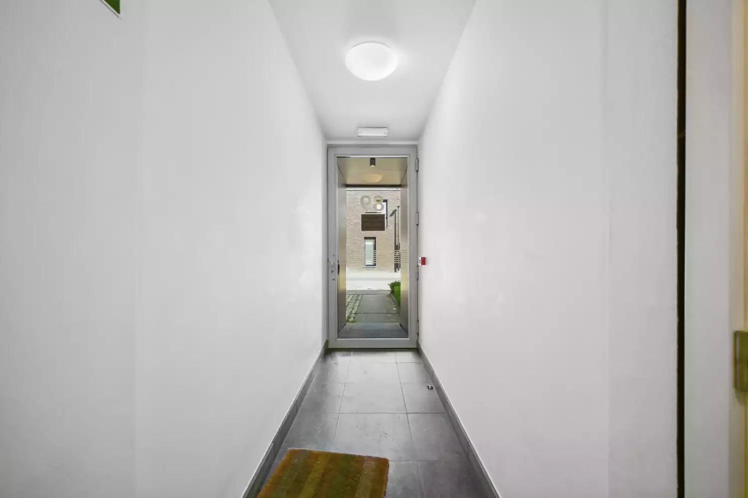 primary-image