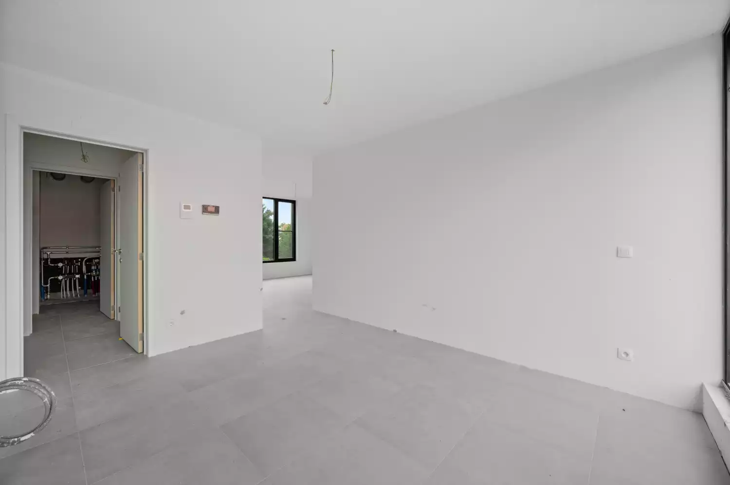primary-image