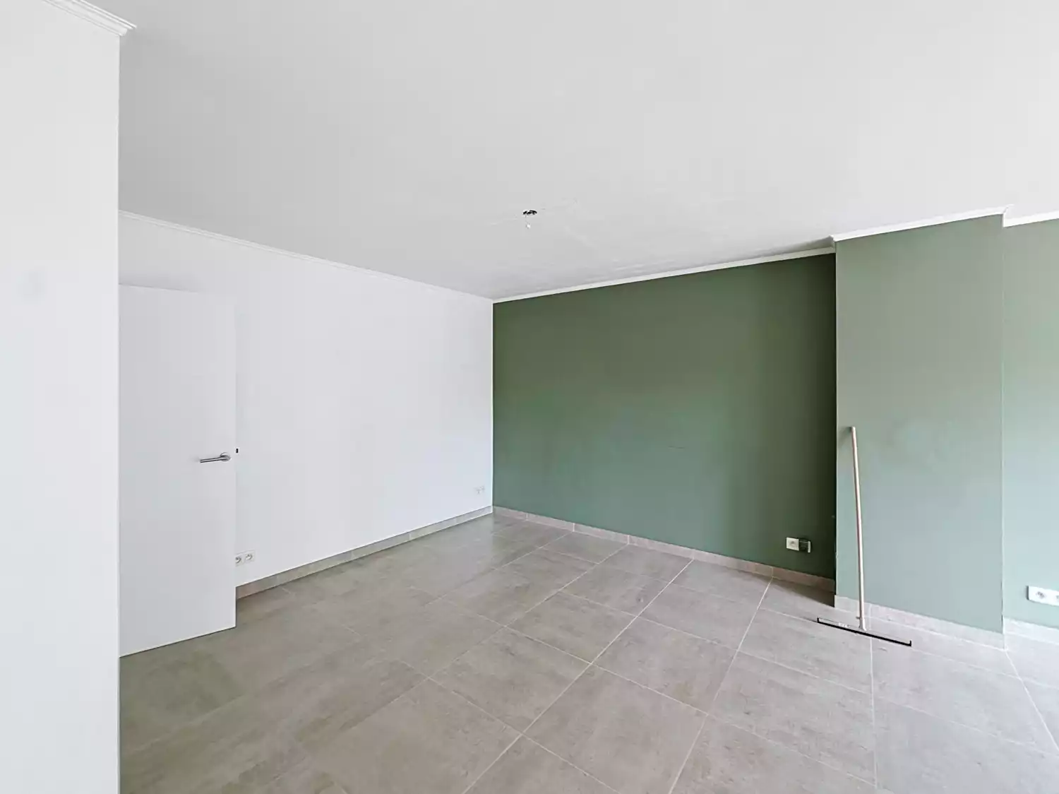 primary-image